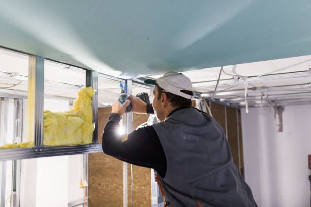 Best Crawl Space Insulation  in Elkins Rk, PA