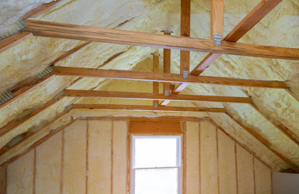 Best Residential Insulation Services  in Elkins Rk, PA
