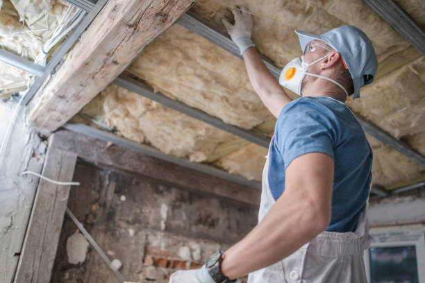 Best Cellulose Insulation  in Elkins Rk, PA
