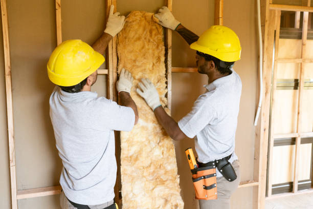 Best Insulation Inspection Services  in Elkins Rk, PA