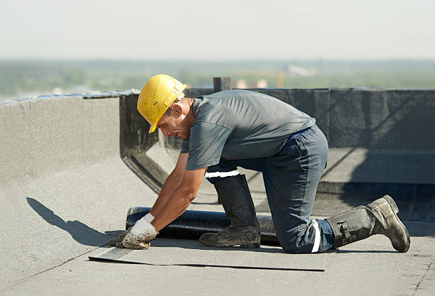 Best Insulation for New Construction  in Elkins Rk, PA