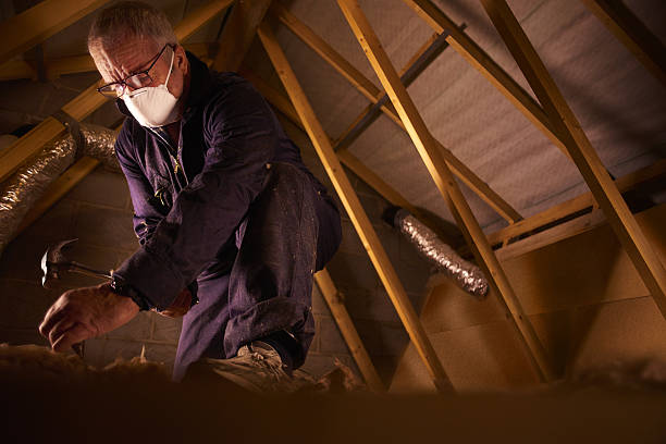 Best Attic Insulation Installation  in Elkins Rk, PA