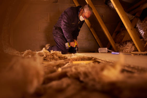 Best Affordable Insulation Services  in Elkins Rk, PA